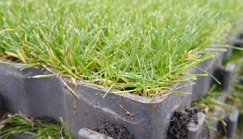 Газонная решетка: как уложить для надежной экопарковки?